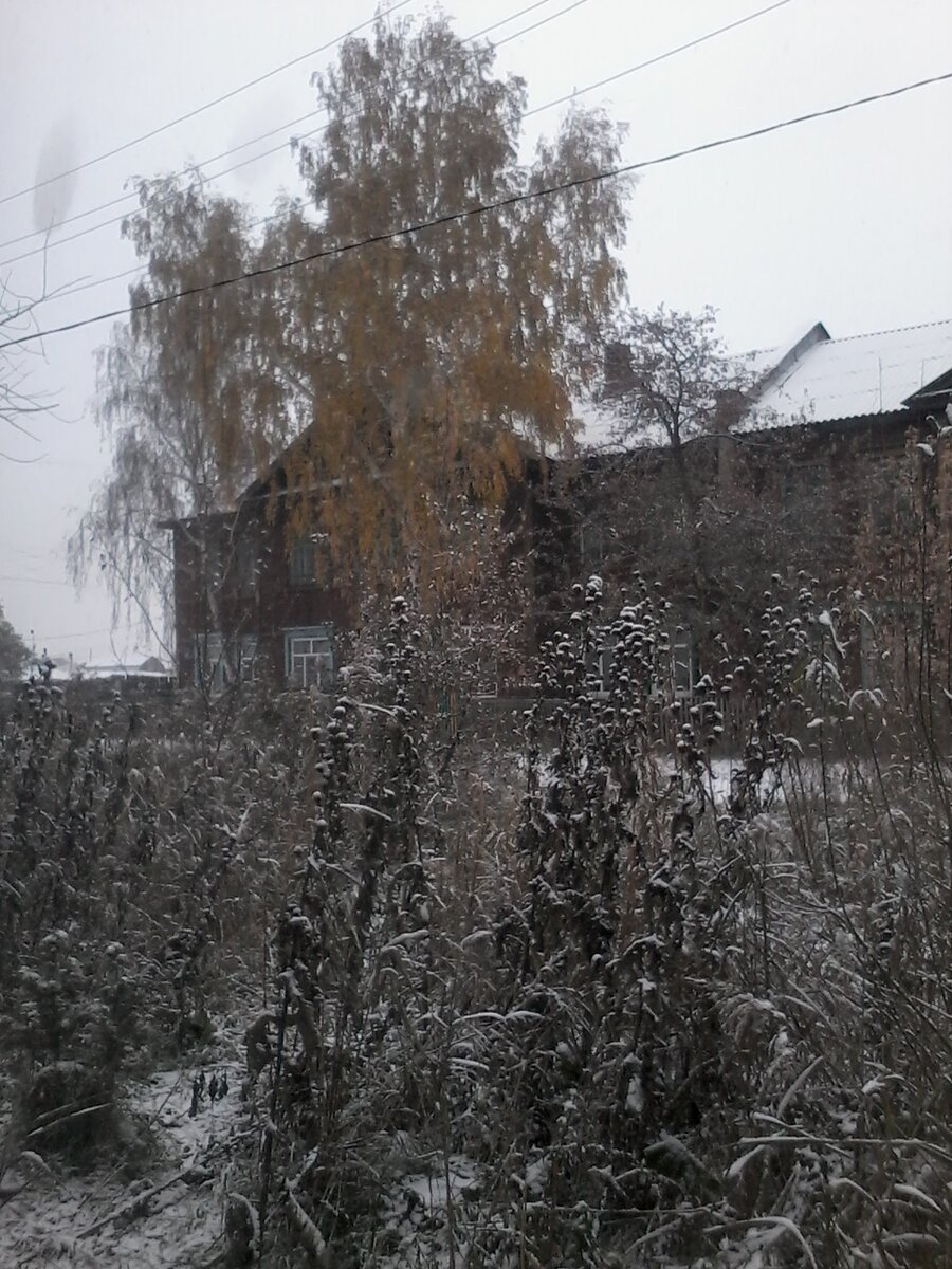 Вид из окна нашей квартиры осень 2013 г.