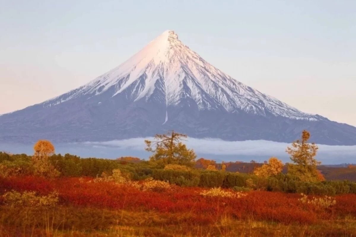    Тюменские активисты смогут поучаствовать во Всероссийском форуме