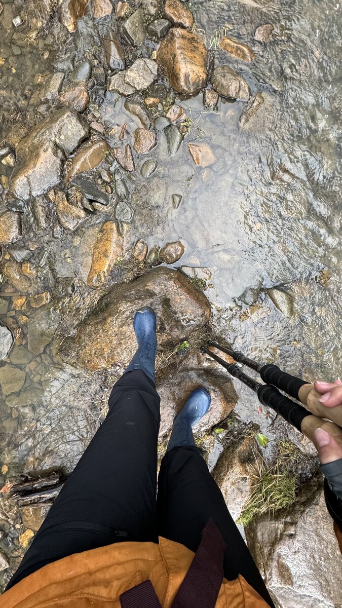 Рубрика «Под ногами сегодня»