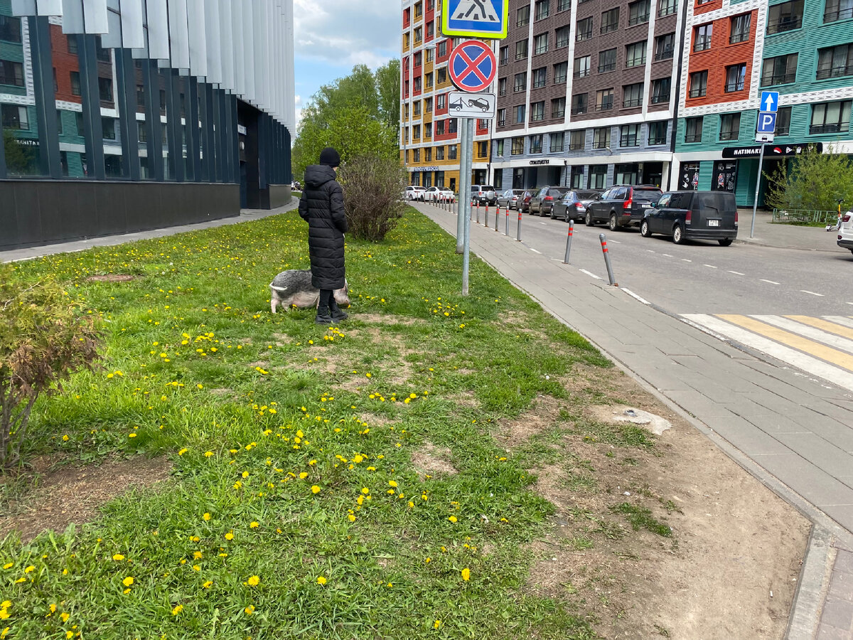 Фотография сделана совсем недавно, дня 4 назад