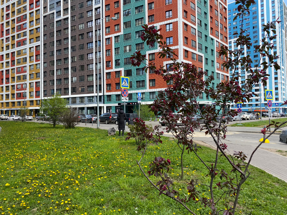 Вот еще одно фото из моей коллекции