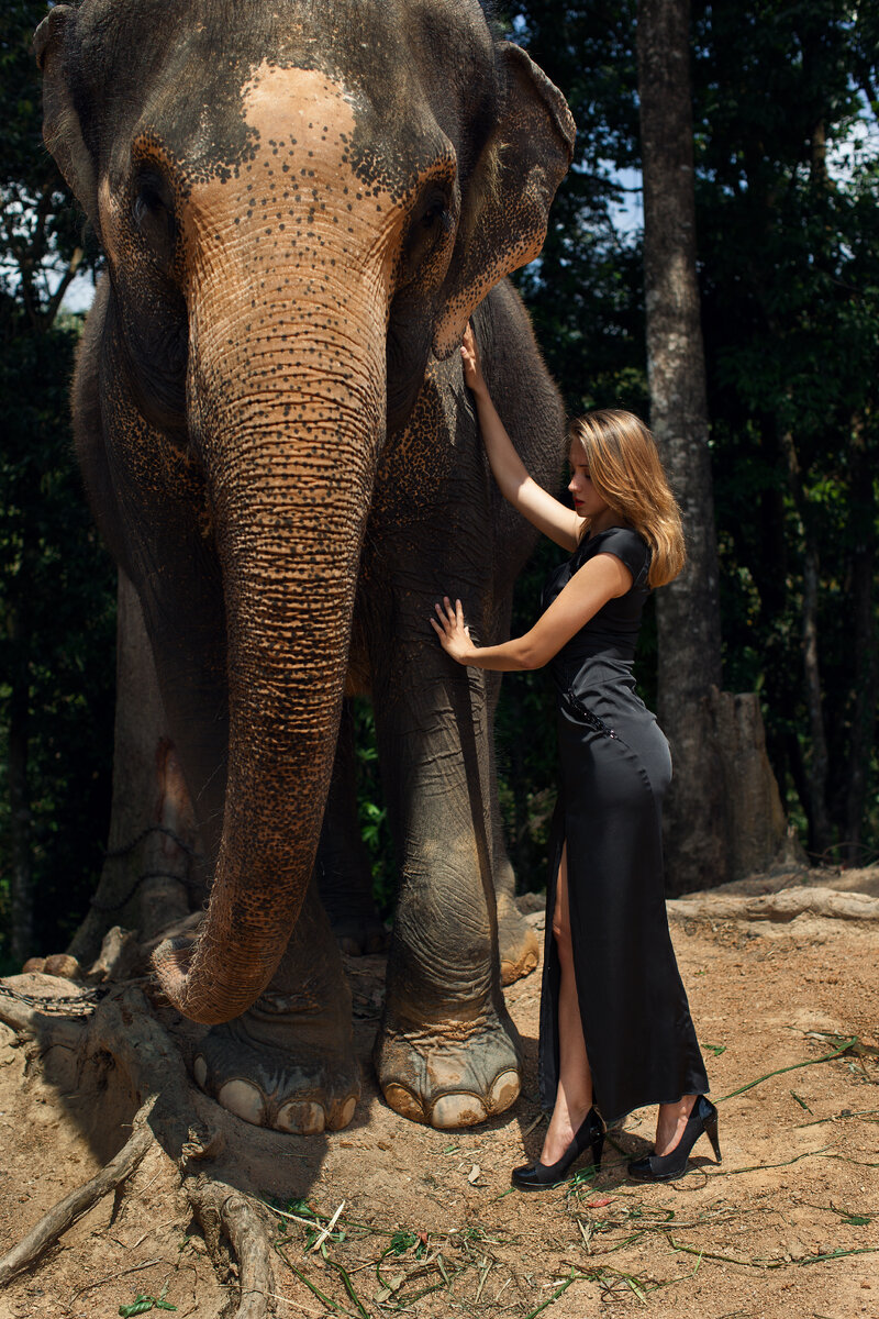 Анастасия Давыдова 
