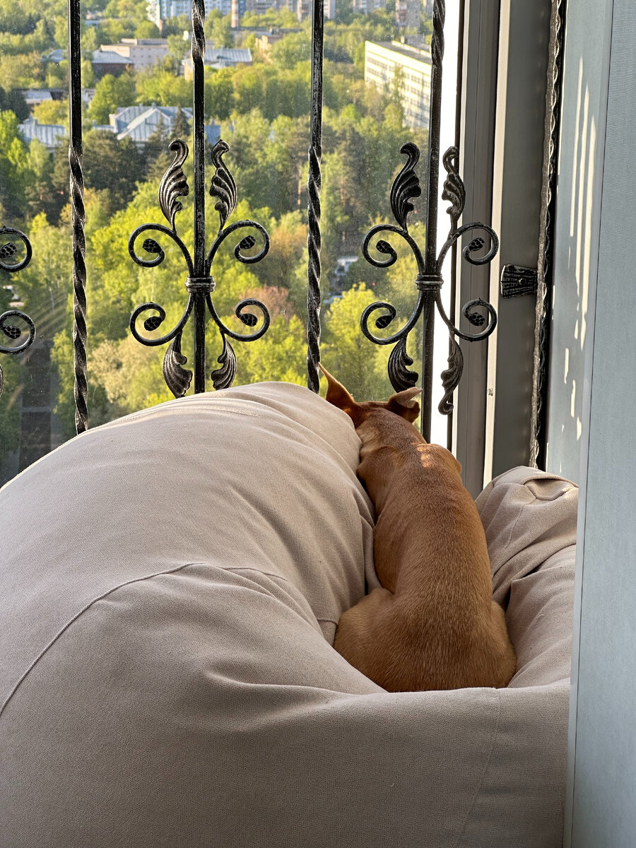 Вот так и я сидела на балконе, как Ассоль сейчас