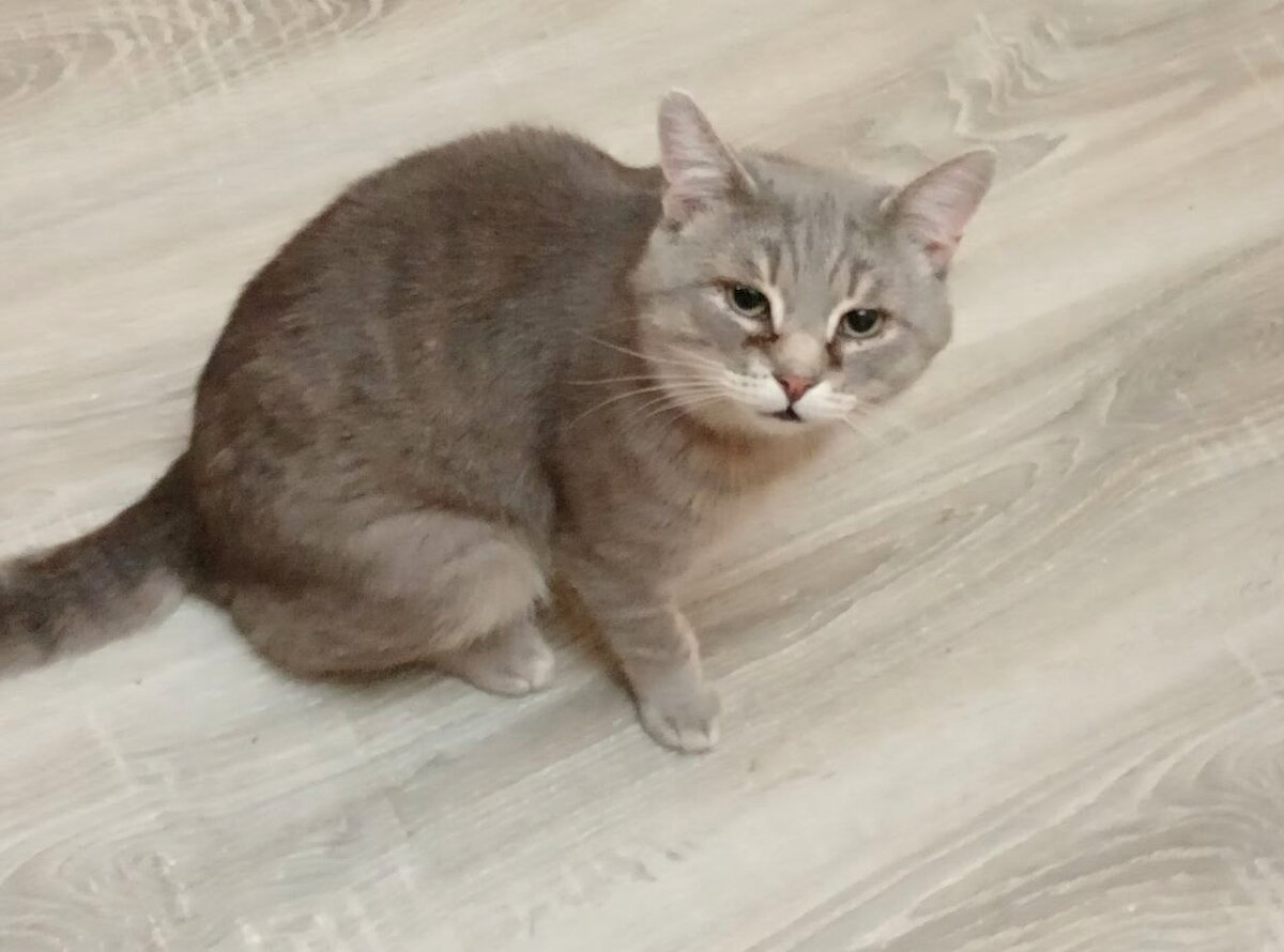 Фото из домашнего архива