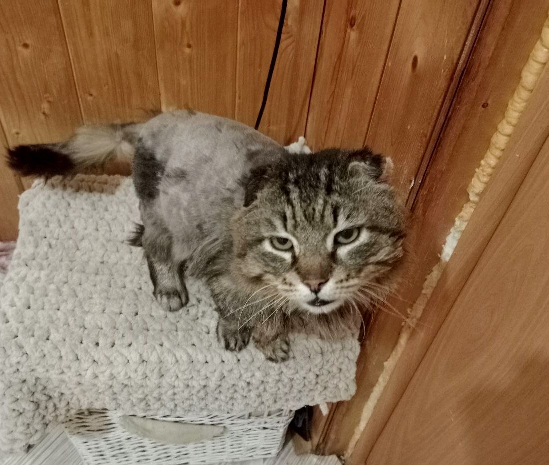 Фото из домашнего архива