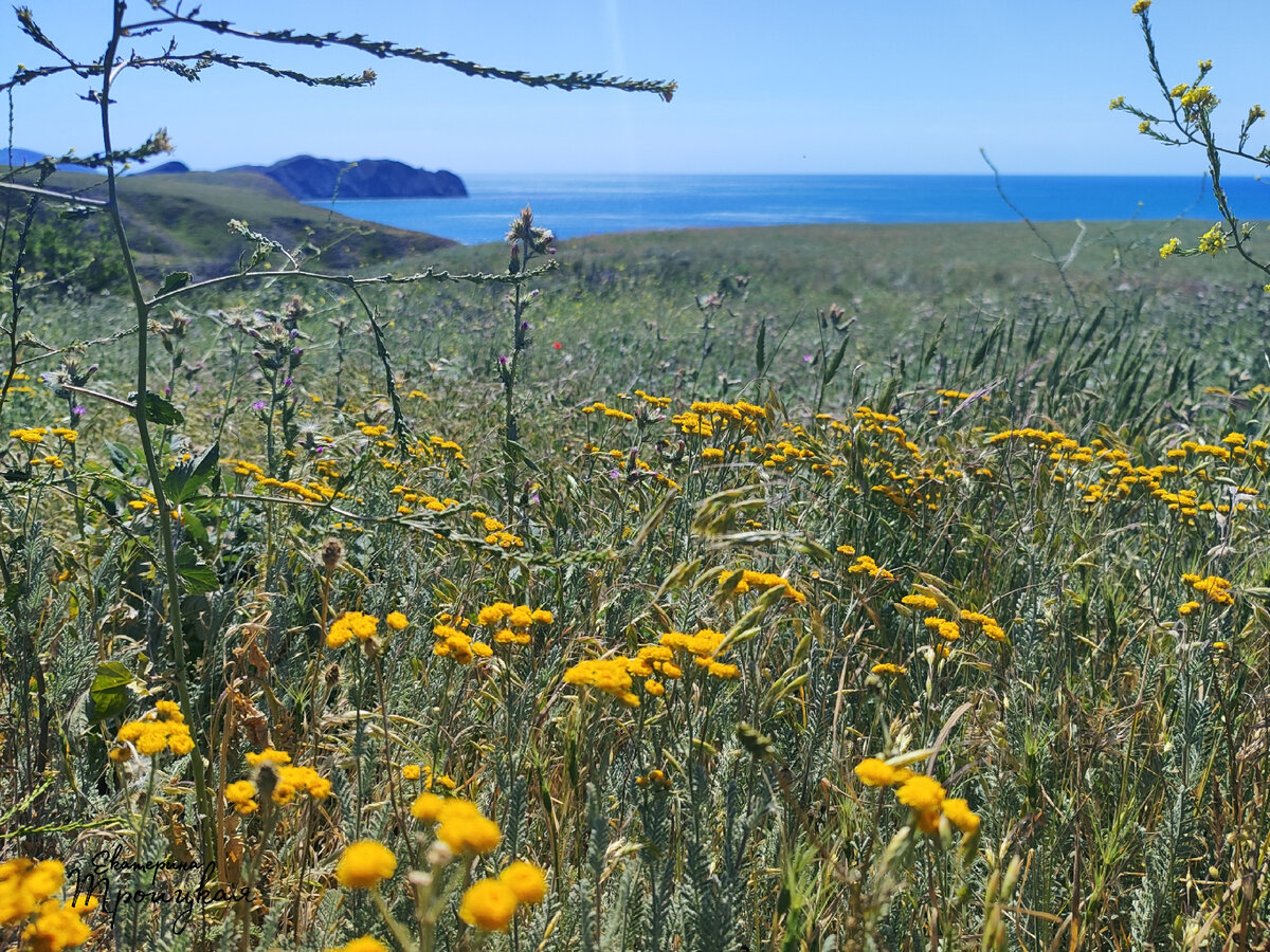 #мысХамелеон #гдеКатябыла #Крым #житьуморя