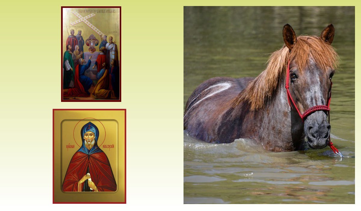 Фото: azbuka.ru/pixabay.com