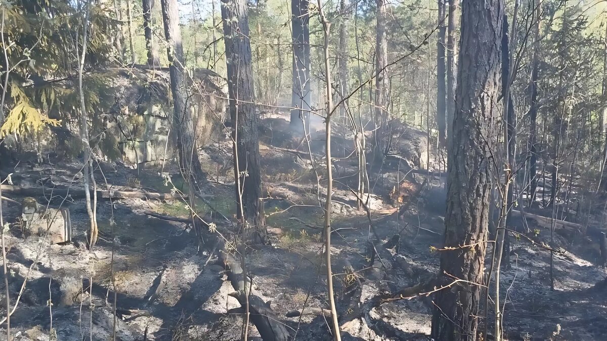     Источник: Минприроды Карелии