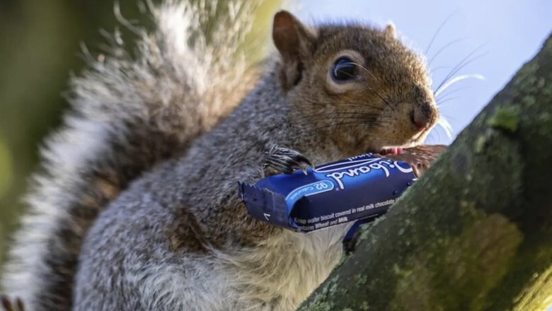 Источник: SWNS