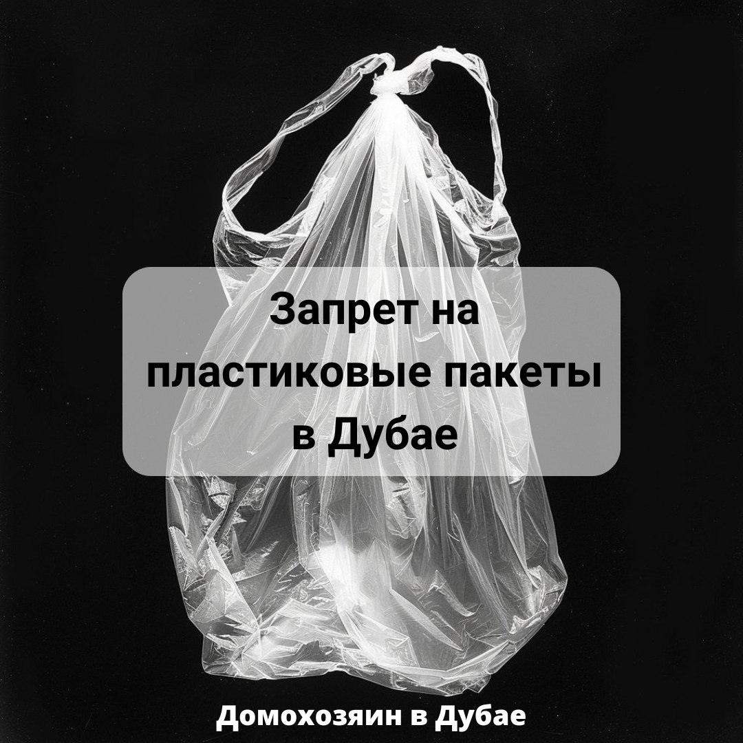 Пластиковый мир победил? Нет, не думаю: Дубая вводит запрет на пластиковые  пакеты. | Домохозяин в Дубае (блог) | Дзен