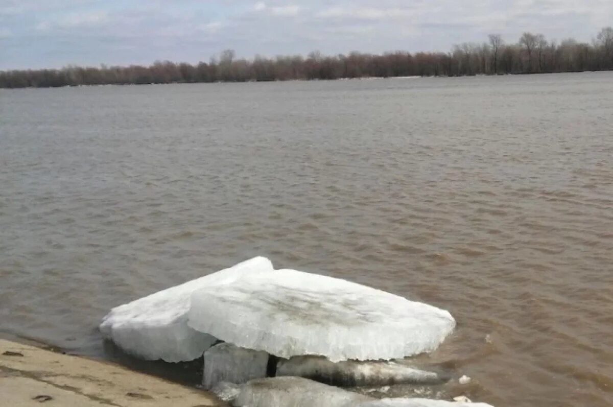    В Нижневартовске 17 мая уровень воды в Оби составляет 870 см