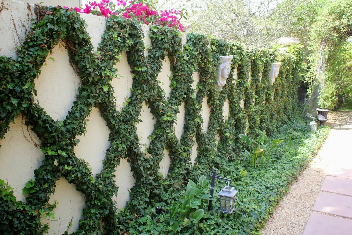 Источник: zendiar.com