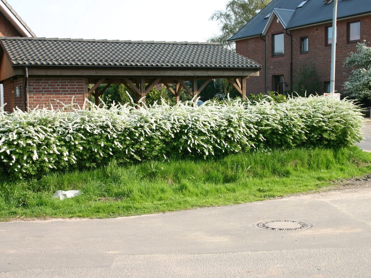 Источник: pokayadoma.ru