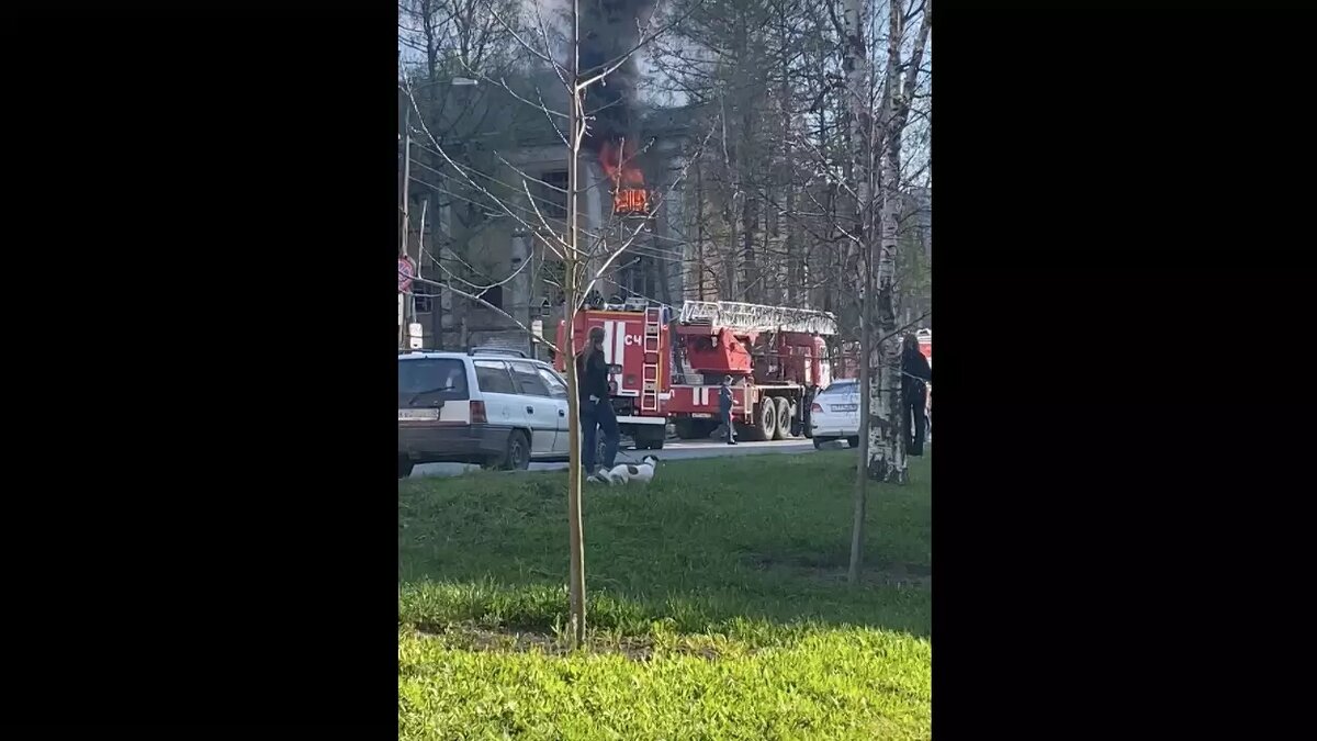     Источник: Скриншот видеозаписи