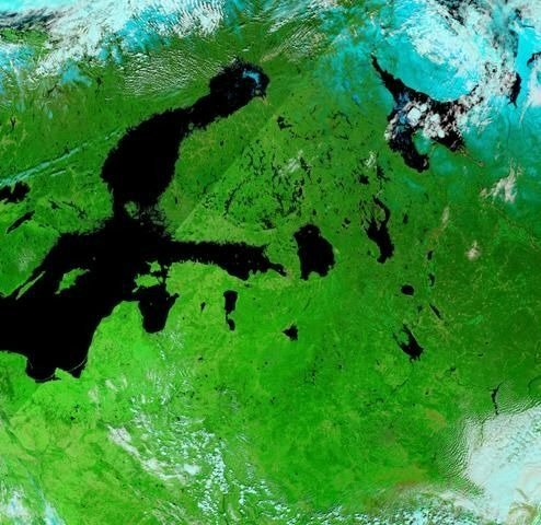 Фото: Telegram-канал Александра Колесова