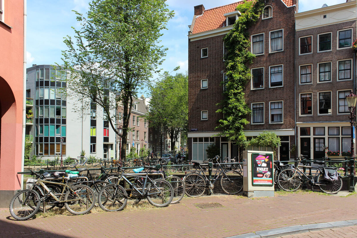 Все современные фотографии в статье мои.