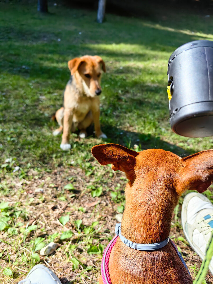Наша шкурка слишком любвеобильна и часто сама ко всем пристает.