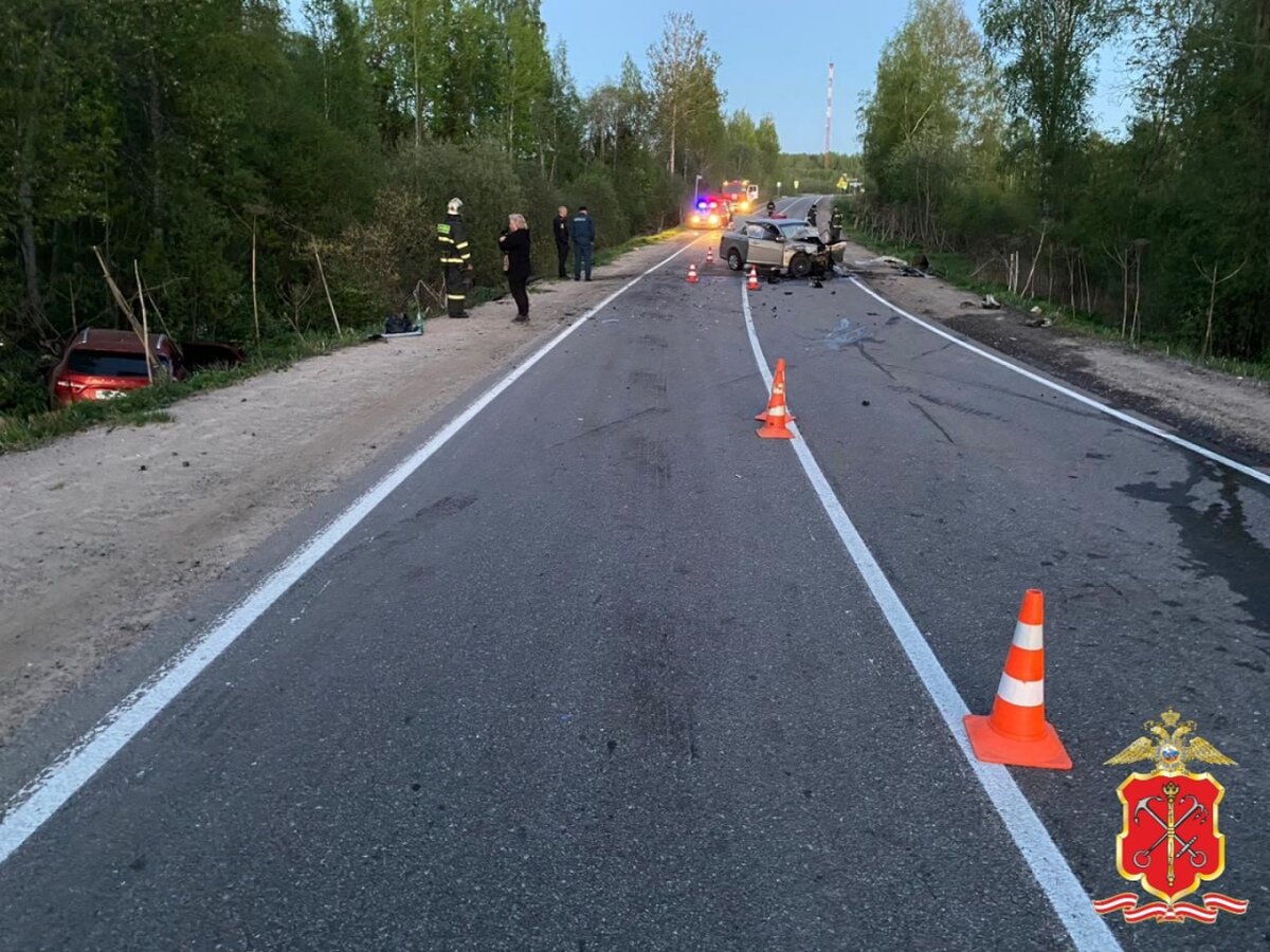 © МВД по Петербургу и Ленобласти