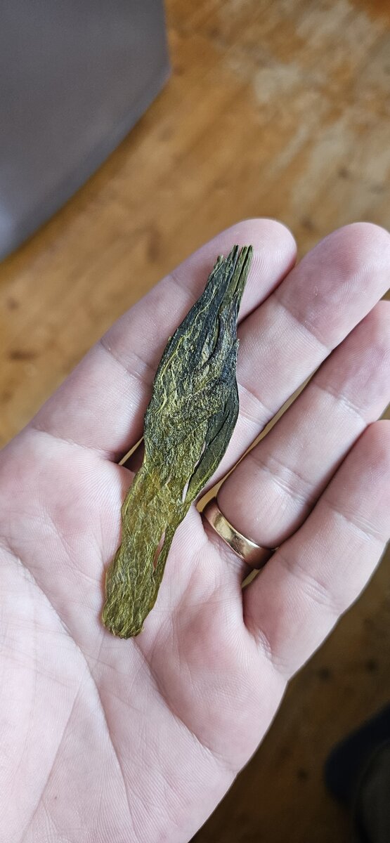 Тай Пин Хоу Куй 