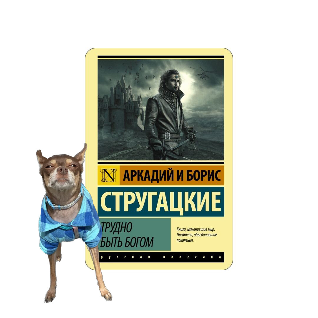 Чилиндос - амбассадор чтения