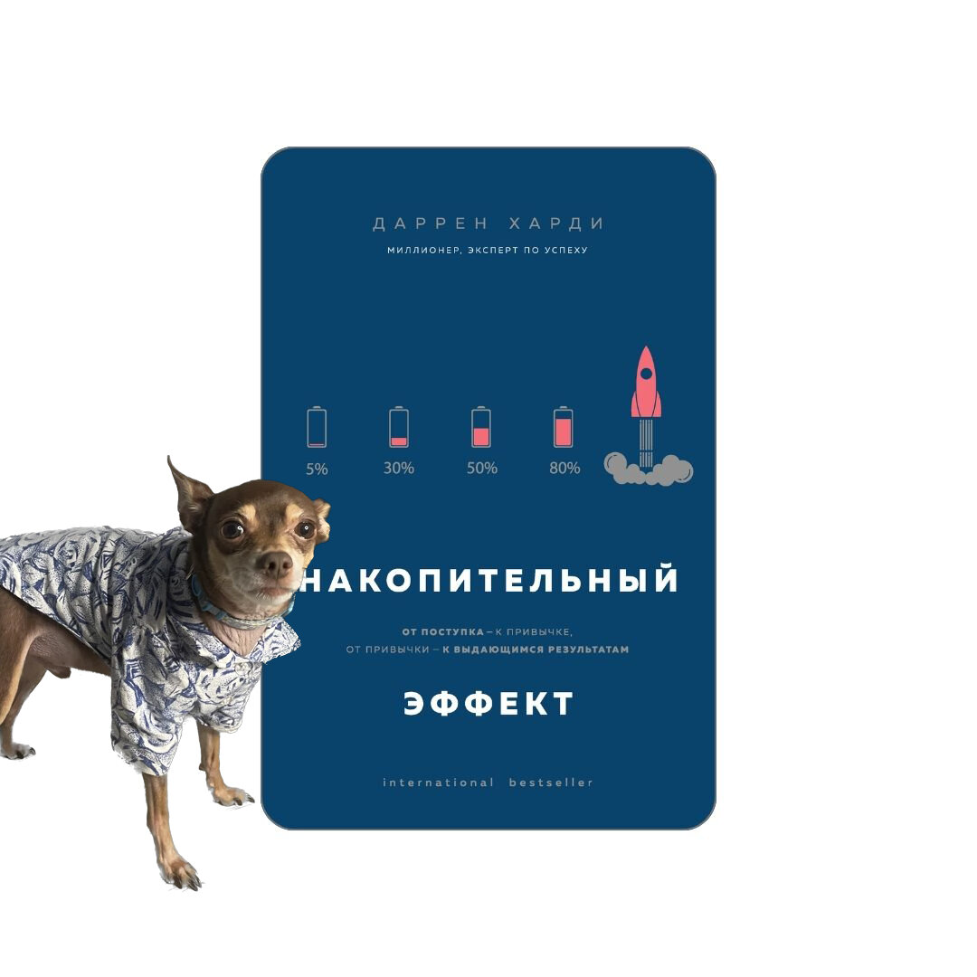 Чилиндос - амбассадор чтения