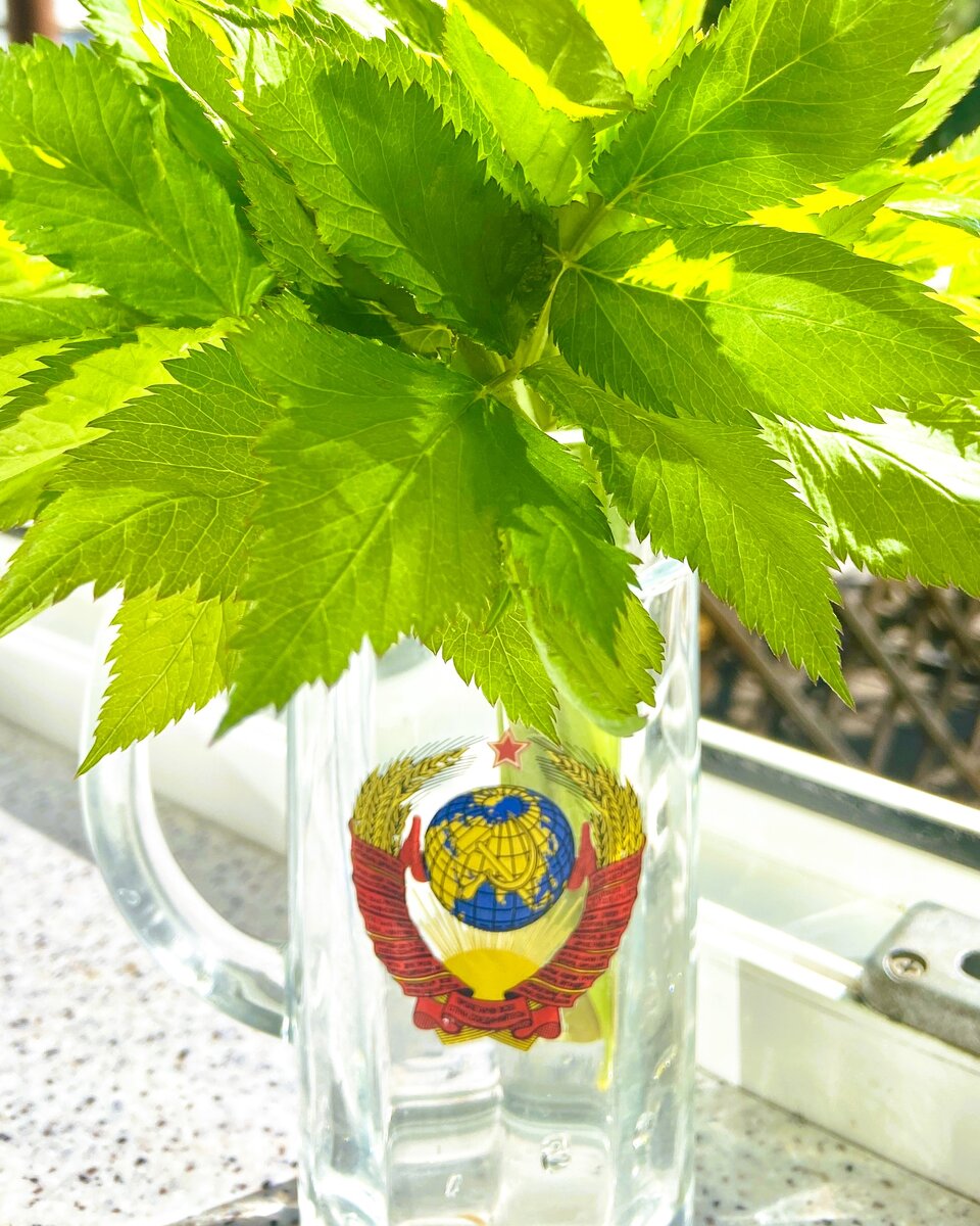 Рецепт - ниже читай!