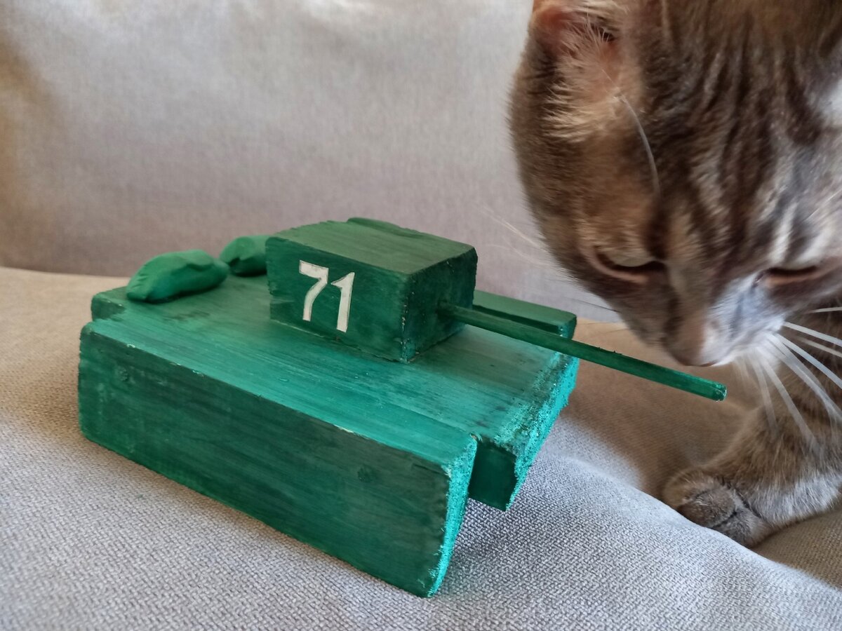 Наш кот всегда лезет в кадр, когда его не просят. Фото автора.