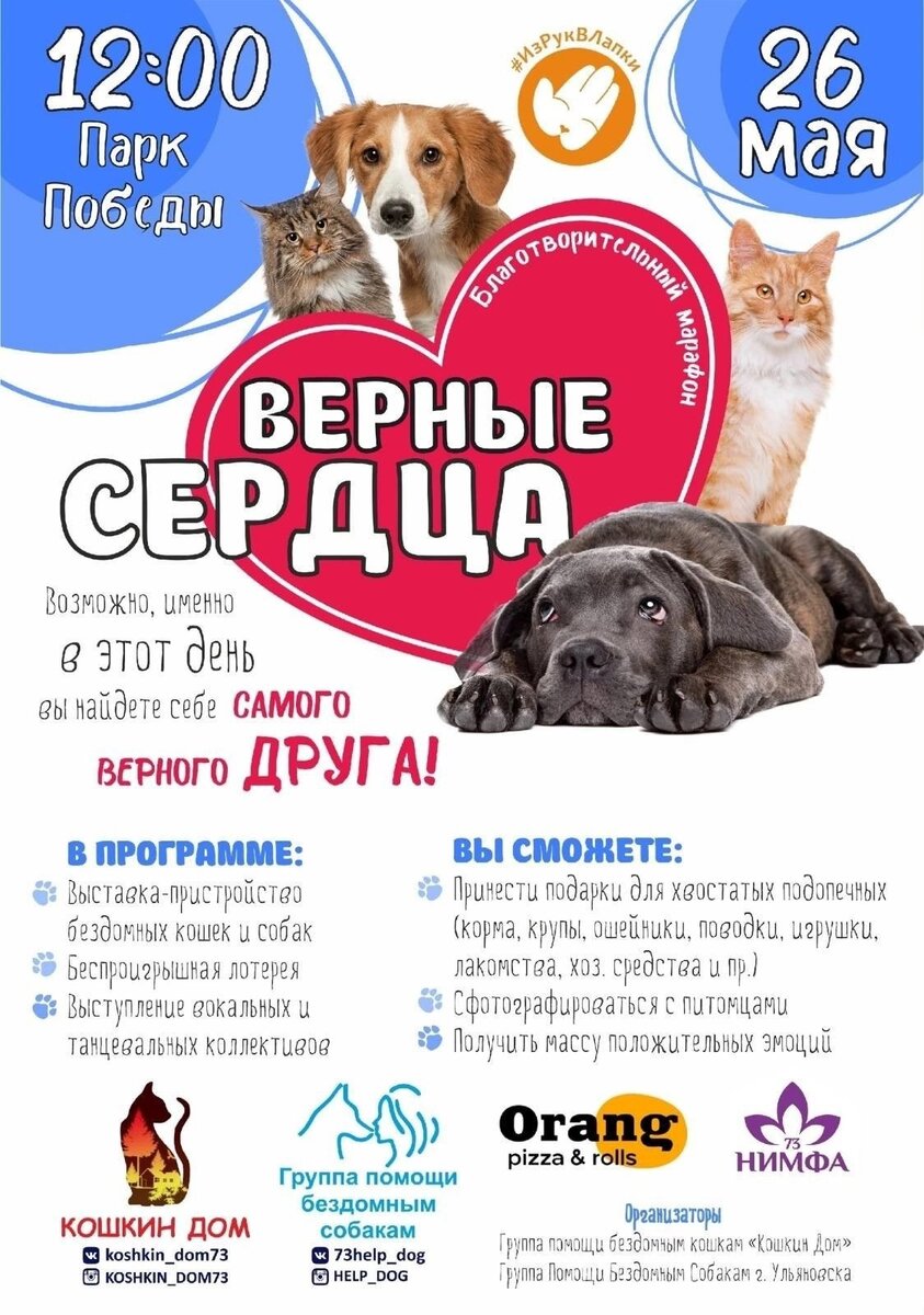 🎉🥳 Желаете провести замечательный выходной с веселой компанией? | Город  преданных собак 73 | Дзен