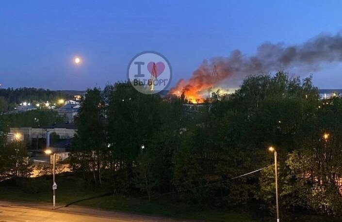 Фото: Телеграмм-канал VyborgGo