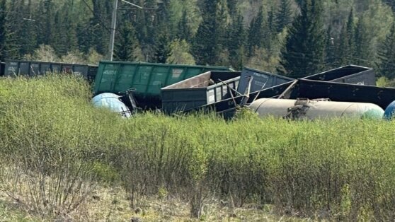    В Красноярском крае сошли с рельсов 5 вагонов грузового поезда Татьяна Сидорова