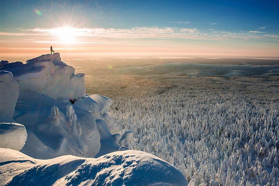    Автор фото Павел Жигалов. Предоставлена заповедником «Вишерский»