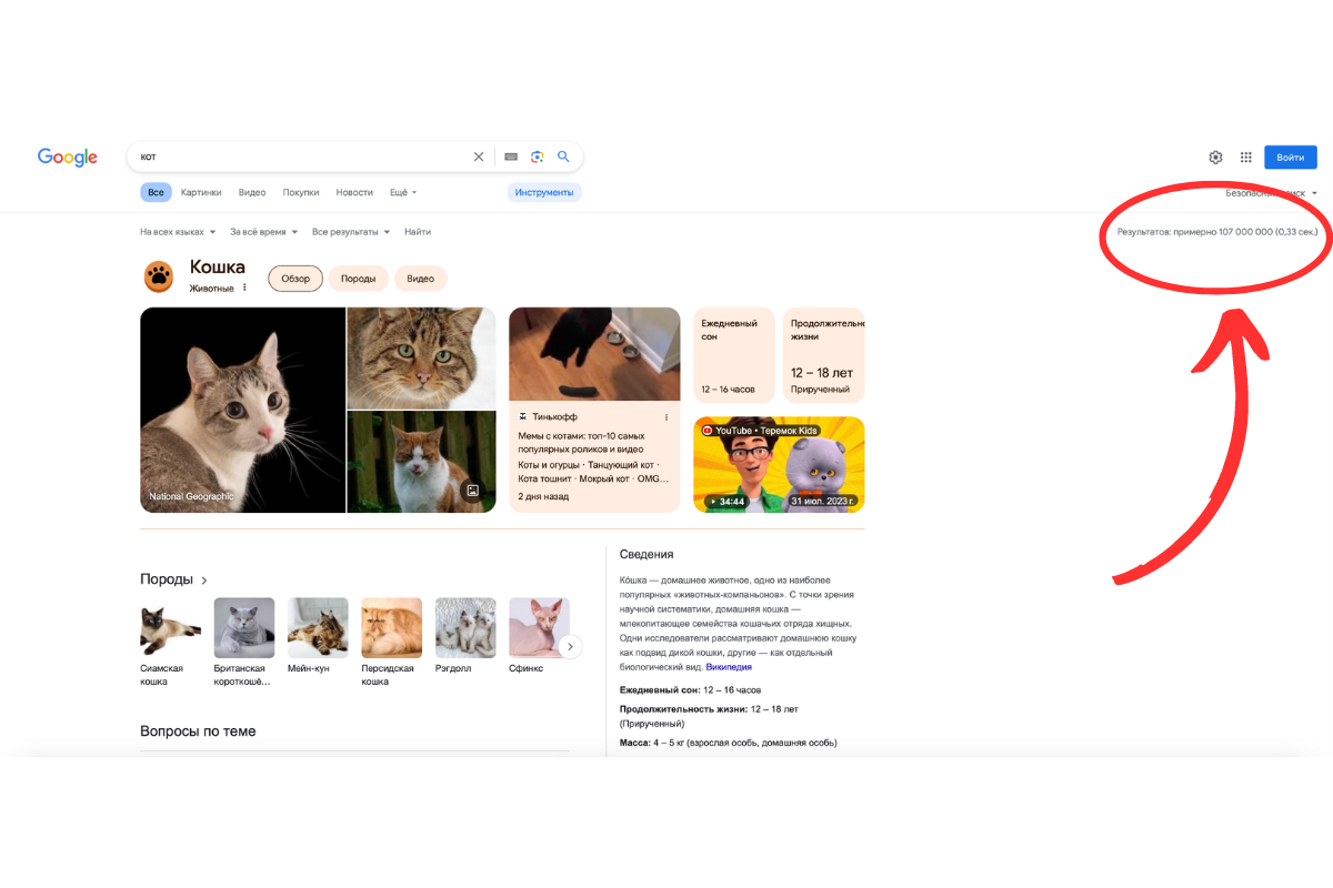 Google запрос «кот»