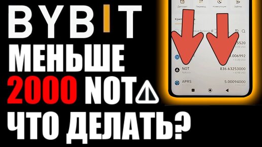 Что делать если на байбит меньше 2000 NOT COIN ?