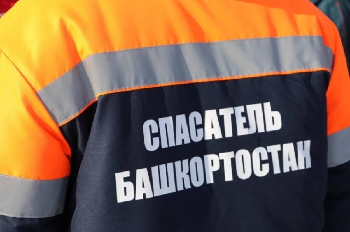    Жительница Башкирии заблудилась в лесу и ждала спасателей на дереве