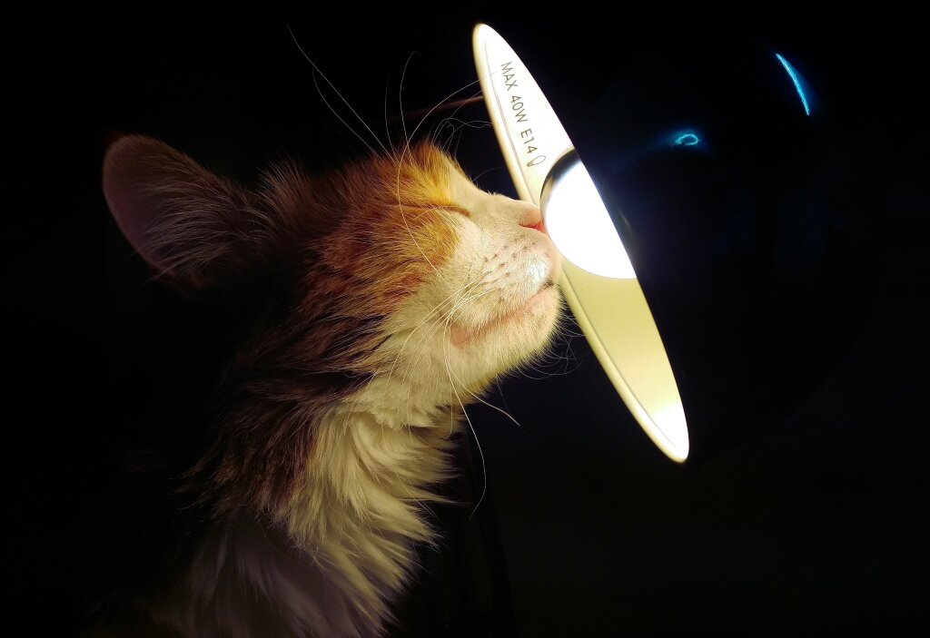 Счета за свет в Тверской области будут увеличены с 1 июля для тех, кто жжет свыше 11 тыс. кВт*ч