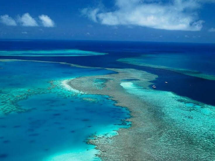 Большой Барьерный Риф