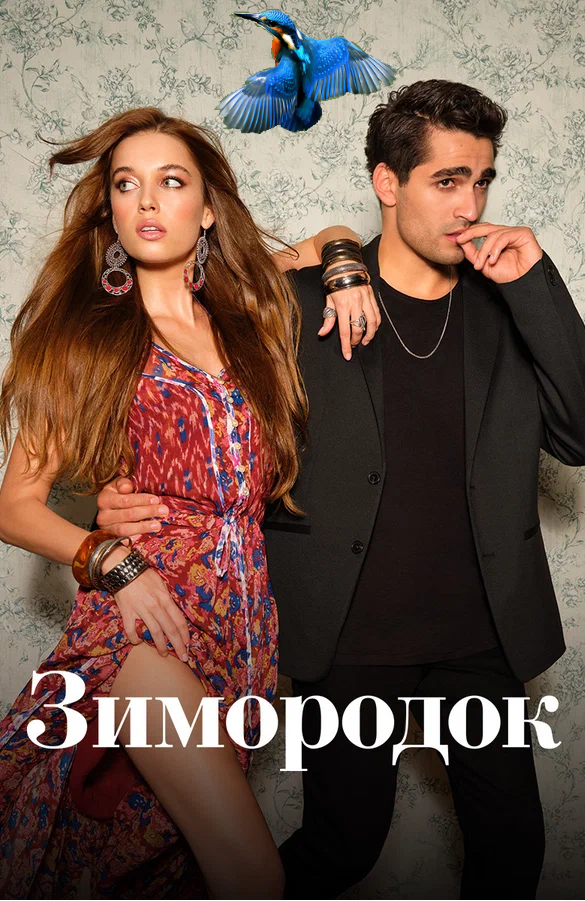 Турецкий сериал "Зимородок". На данный момент выходит уже второй сезон