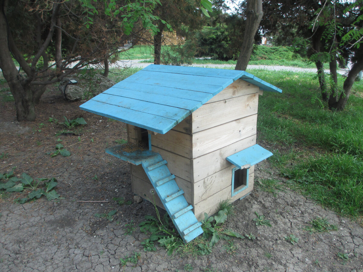 Домики есть, котов нету