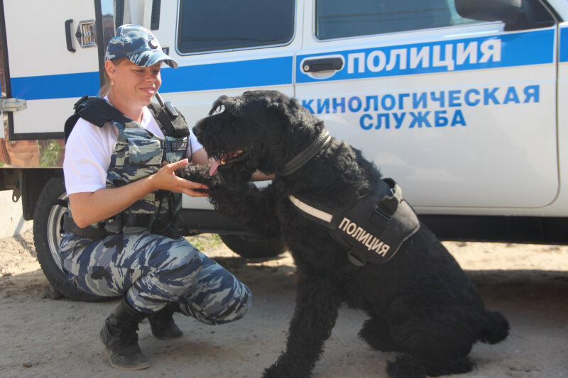 Фото из галереи Яндекса