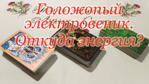 Голозадый энтузиаст, всех доставший электровеник. Откуда берёт энергию Общий расклад.