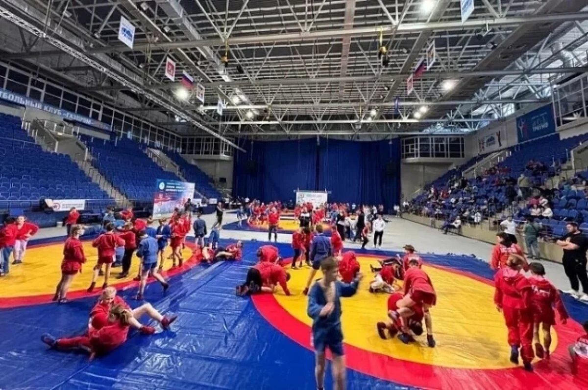    Туляки заняли призовые места на первенстве ЦФО по самбо