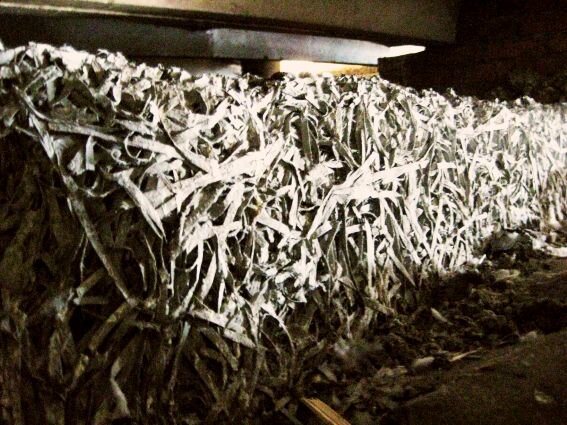 Самый популярный в СССР до массового хрущевского жилищного строительства теплоизоляционный материал - фибролит