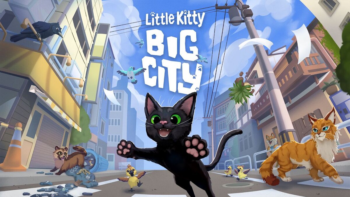 Kitty in big city