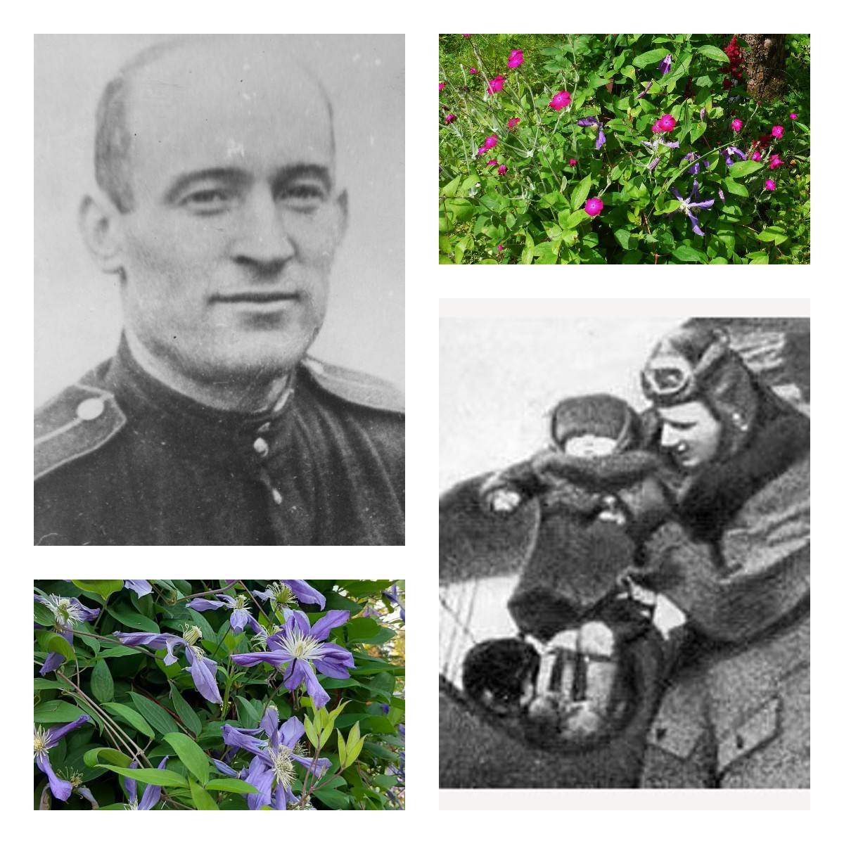 P.C. Фото из интернета, кроме моего одного - в верхнем правом углу.