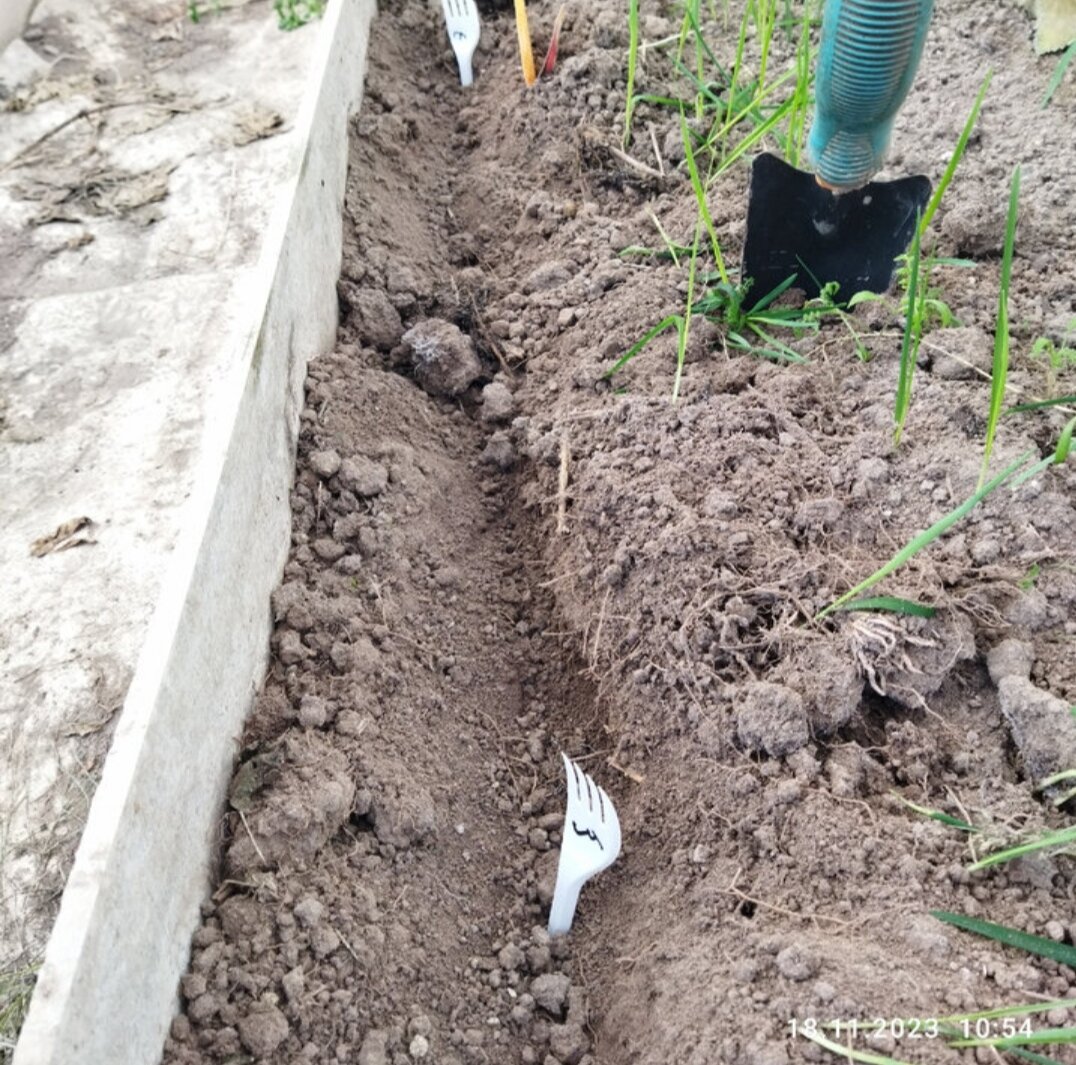 Фото 18 ноября 23 года