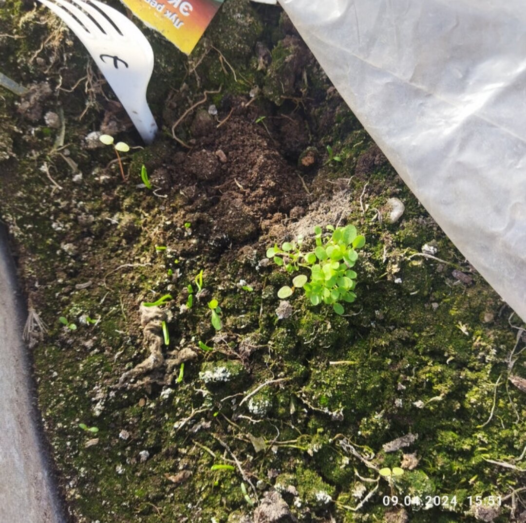 Фото 9 апреля 2024 года