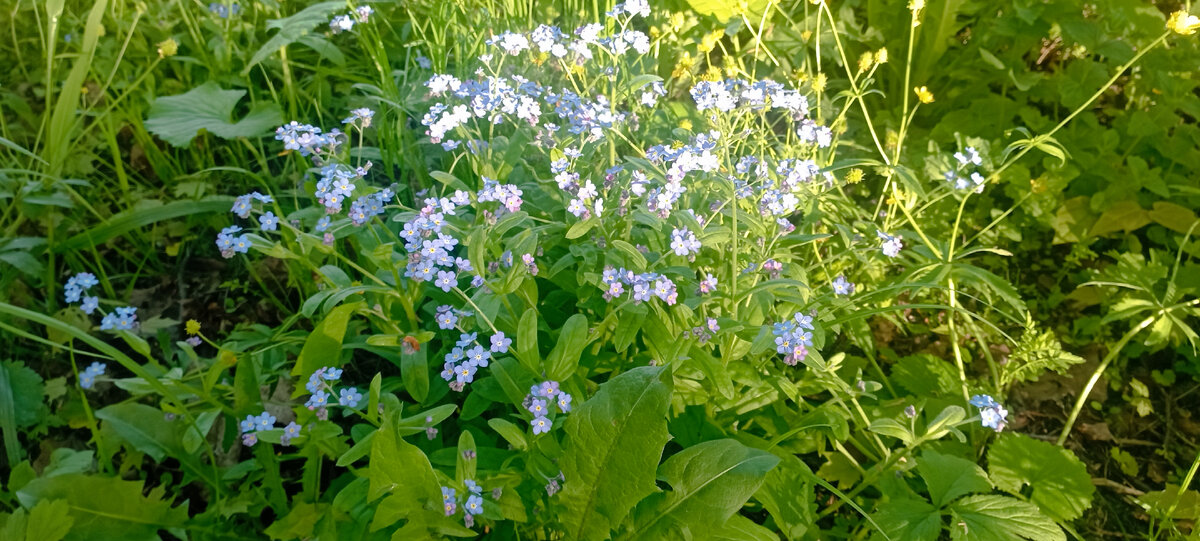 Фото автора канала 