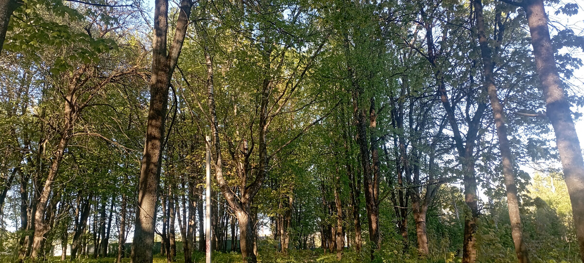 Фото автора канала 