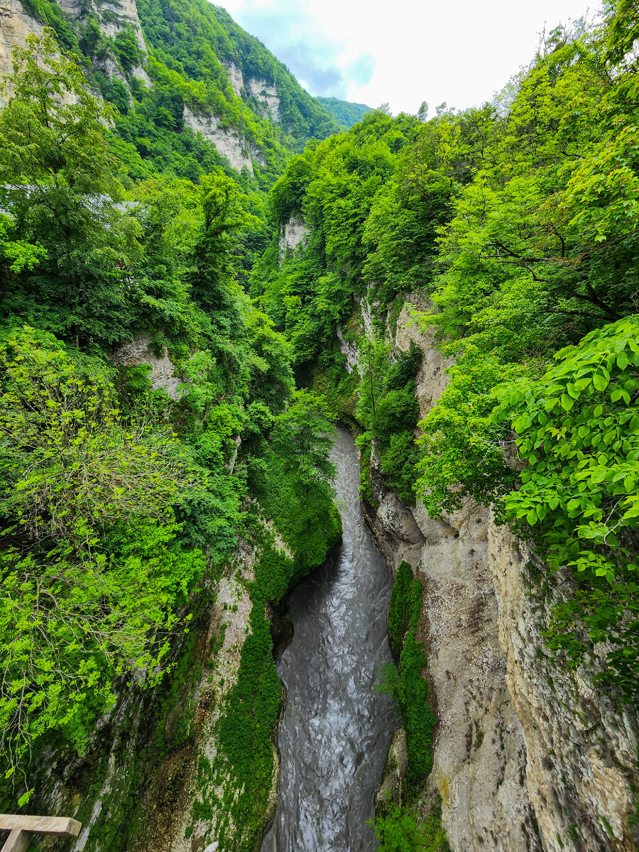 Аргунское ущелье, путь к водопадам.