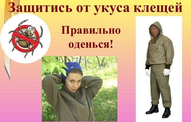 Фото из открытых источников.